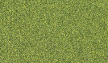 Woodland Scenics WT49 Modell-Gras-Mischung, grün, gr. Beutel