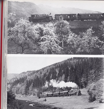 Bellingrodt : Reichsbahn-Dampflokomotiven, 1977 (L72)