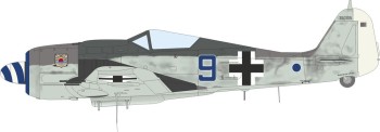 Eduard Plastic Kits 1:72 7463 Fw 190A-8 standard wings 1/72