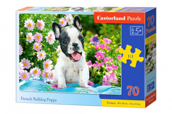 Castorland  B-070152 French Bulldog Puppy Puzzle 70 Teile