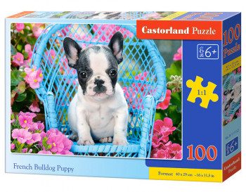 Castorland  B-111152 French Bulldog Puppy, Puzzle 100 Teile