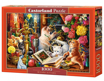 Castorland  C-104857-2 Wizard Kittens Puzzle 1000 Teile