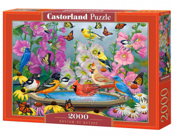 Castorland  C-200818-2 Rhythm of Nature Puzzle 2000 Teile