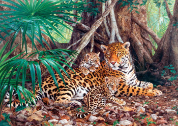 # Castorland  C-300280-2 Jaguars in the jungle,Puzzle 3000 Teile