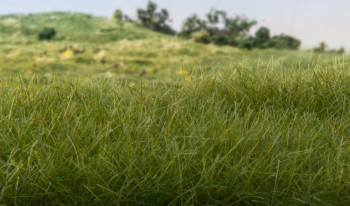 Woodland Scenics WFS625 Landschaftsbau 12mm Static Grass Dark Green