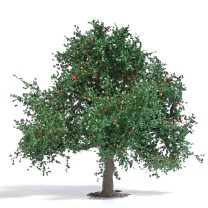Busch H0 3652 Apfelbaum 75 mm, Sommer -NEU