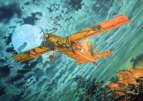 Roden 1:48 439 Fairchild AU-23A Peacemaker