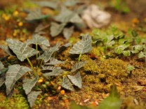 Matho Models 1:35 35039 Plants & Weeds E