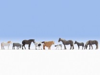 NOCH N 36713 Tiere auf dem Bauernhof, 
