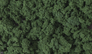 Woodland Scenics WFC184 Landschaftsbau CLUMP FOLIAGE -  dunkelgrün gr. Beutel