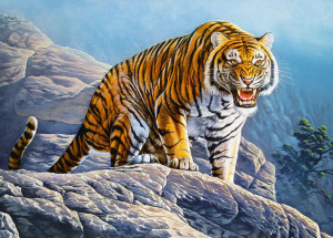 Castorland  B-018451 Tiger on the Rock, Puzzle 180 Teile