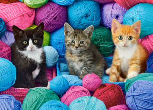 Castorland  B-030477 Kittens in Yarn Store, Puzzle 300 Teile