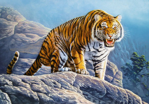 Castorland  B-53346 Tiger on the Rocks, Puzzle 500 Teile