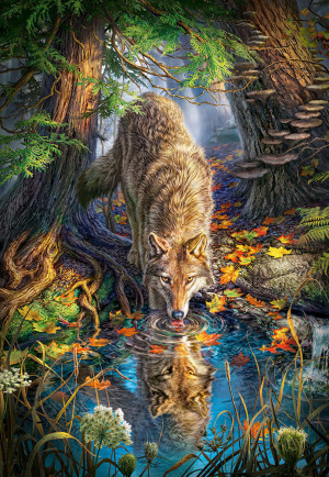 Castorland  C-151707-2 Wolf in the Wild, Puzzle 1500 Teile