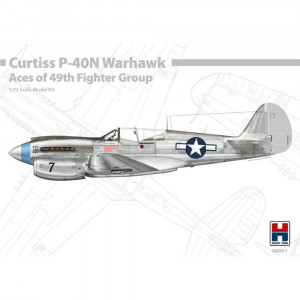 Hobby 2000 1:48 48001 P-40N Warhawk Aces of The 49th Fighter Group