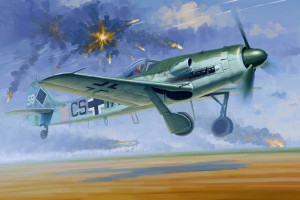 Hobby Boss 1:48 81719 Focke-Wulf FW 190D-12