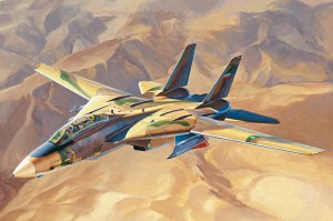 Hobby Boss 1:48 81771 Persian Cat F-14A TomCat-IRIAF