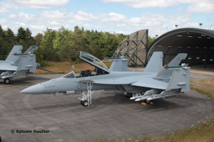 Revell 1:32 3847 F/A-18F Super Hornet
