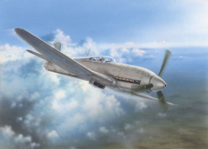 Special Hobby 1:32 100-SH32045 Heinkel He 100D Soviet and Japanese Plan