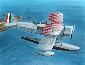Special Hobby 1:48 100-SH48137 IMAM (Romeo)Ro.43 Red Striped