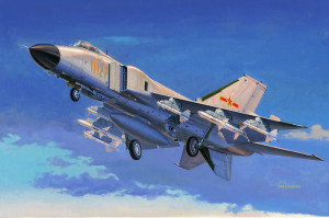 Trumpeter 1:48 2847 Chinese J-8IIF fighter
