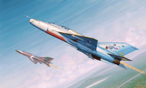 Trumpeter 1:48 2865 MiG-21UM Fighter