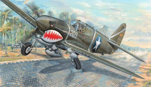 Trumpeter 1:32 3227 P-40F War Hawk