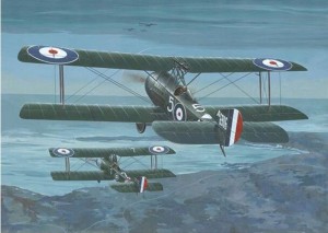 Roden 1:32 637 Sopwith 1 1/2 Strutter Comic Fighter