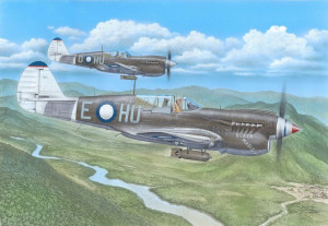 Special Hobby 1:72 SH72484 Kittyhawk Mk.IV ‘Over the Mediterranean and the Pacific’ 1/72 - NEU