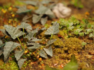 Matho Models 1:35 35039 Plants & Weeds E