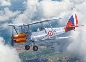 ICM 1:32 32019 DH.82A Tiger Moth of the World Air Forces
